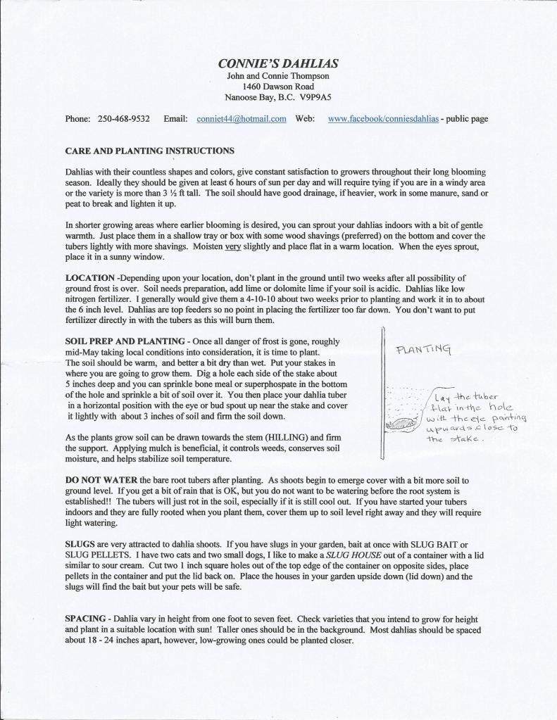 Connies Dahlia info sheet, View Royal Garden Club, Victoria BC