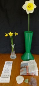 how to exhibit at the View Royal Garden Club garden show